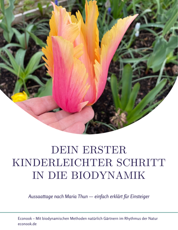 Econook - Freebie - Der Einstieg in die Biodynamik