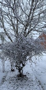 Garten winterfest machen Econook
