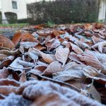 Gartenarbeiten November Econook